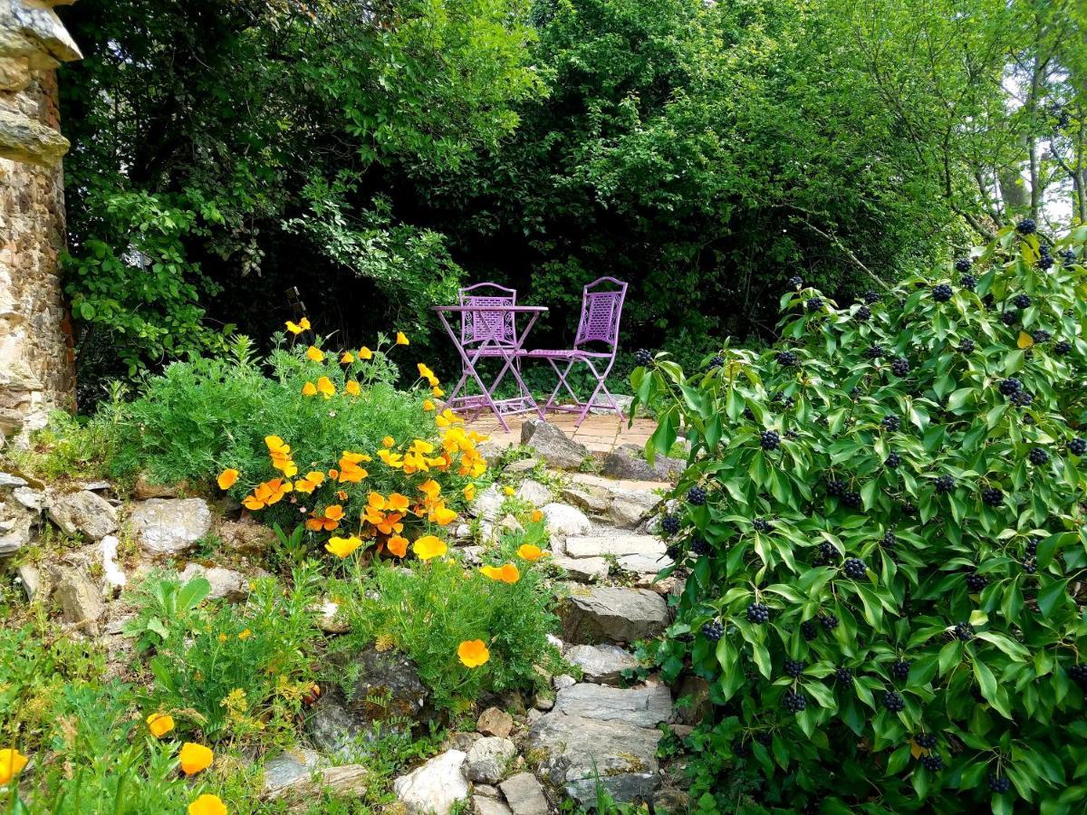 Oh, Le Chateau! Almayrac Luaran gambar